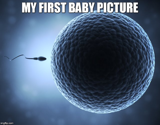 Sperm and Egg | MY FIRST BABY PICTURE | image tagged in sperm and egg | made w/ Imgflip meme maker