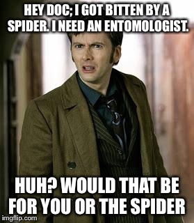 doctor who is confused | HEY DOC; I GOT BITTEN BY A SPIDER. I NEED AN ENTOMOLOGIST. HUH? WOULD THAT BE FOR YOU OR THE SPIDER | image tagged in doctor who is confused | made w/ Imgflip meme maker