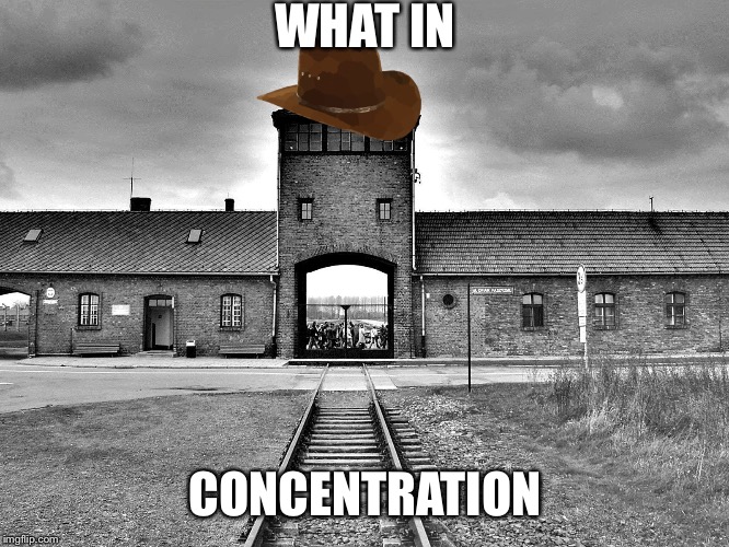 aushwitz | WHAT IN; CONCENTRATION | image tagged in aushwitz | made w/ Imgflip meme maker