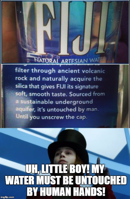 No other water in the world is stirred by waterfall!  | UH, LITTLE BOY! MY WATER MUST BE UNTOUCHED BY HUMAN HANDS! | image tagged in willy wonka,fiji,water,meme | made w/ Imgflip meme maker