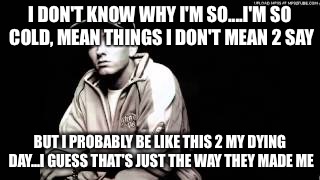 As cold as the cold wind blows | I DON'T KNOW WHY I'M SO....I'M SO COLD, MEAN THINGS I DON'T MEAN 2 SAY; BUT I PROBABLY BE LIKE THIS 2 MY DYING DAY...I GUESS THAT'S JUST THE WAY THEY MADE ME | image tagged in eminem,rap | made w/ Imgflip meme maker