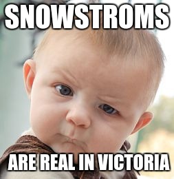 Skeptical Baby Meme | SNOWSTROMS; ARE REAL IN VICTORIA | image tagged in memes,skeptical baby | made w/ Imgflip meme maker