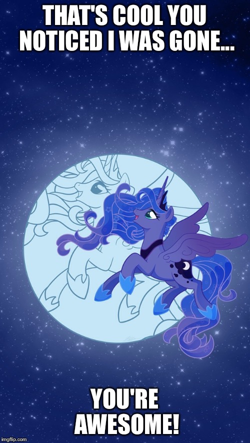 Princess Luna My Little Pony | THAT'S COOL YOU NOTICED I WAS GONE... YOU'RE AWESOME! | image tagged in princess luna my little pony | made w/ Imgflip meme maker