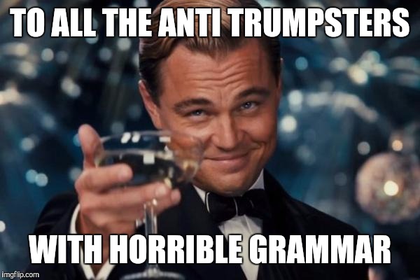 Leonardo Dicaprio Cheers Meme | TO ALL THE ANTI TRUMPSTERS WITH HORRIBLE GRAMMAR | image tagged in memes,leonardo dicaprio cheers | made w/ Imgflip meme maker