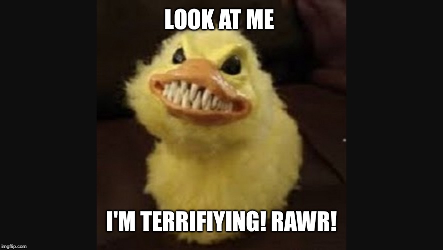 Captain creepy | LOOK AT ME; I'M TERRIFIYING! RAWR! | image tagged in creepy,duck,teeth | made w/ Imgflip meme maker