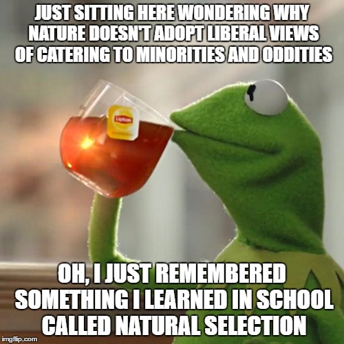 But That's None Of My Business | JUST SITTING HERE WONDERING WHY NATURE DOESN'T ADOPT LIBERAL VIEWS OF CATERING TO MINORITIES AND ODDITIES; OH, I JUST REMEMBERED SOMETHING I LEARNED IN SCHOOL CALLED NATURAL SELECTION | image tagged in memes,but thats none of my business,kermit the frog | made w/ Imgflip meme maker