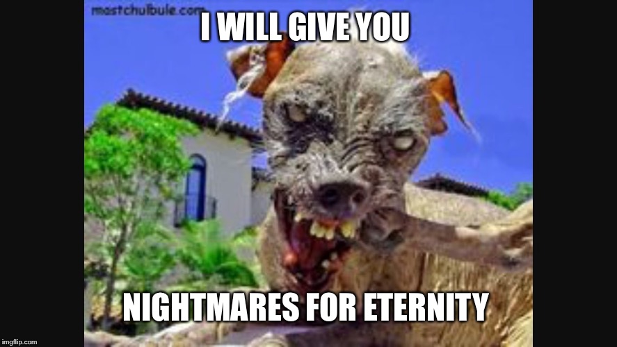 I WILL GIVE YOU; NIGHTMARES FOR ETERNITY | image tagged in dream invasion | made w/ Imgflip meme maker