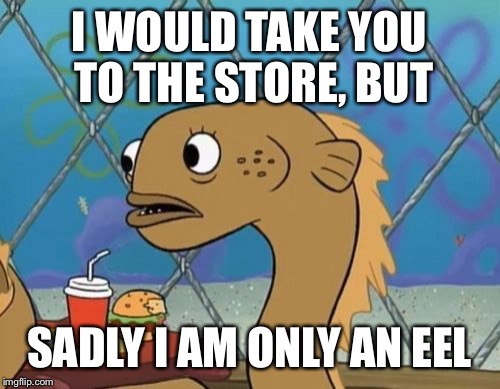 Sadly I Am Only An Eel | I WOULD TAKE YOU TO THE STORE, BUT; SADLY I AM ONLY AN EEL | image tagged in memes,sadly i am only an eel | made w/ Imgflip meme maker