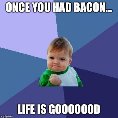 Success Kid | ONCE YOU HAD BACON... LIFE IS GOOOOOOD | image tagged in memes,success kid | made w/ Imgflip meme maker