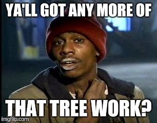 Y'all Got Any More Of That | YA'LL GOT ANY MORE OF; THAT TREE WORK? | image tagged in memes,yall got any more of | made w/ Imgflip meme maker