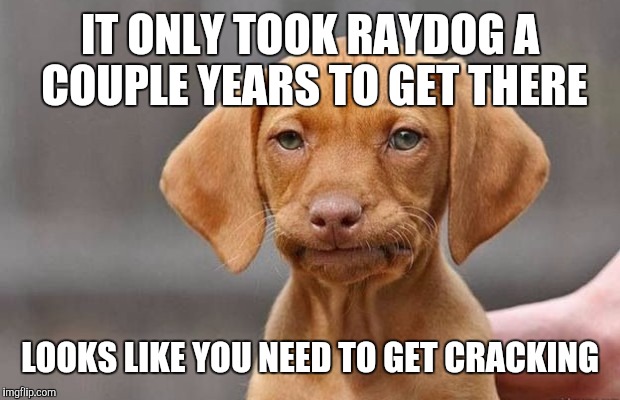 IT ONLY TOOK RAYDOG A COUPLE YEARS TO GET THERE LOOKS LIKE YOU NEED TO GET CRACKING | made w/ Imgflip meme maker