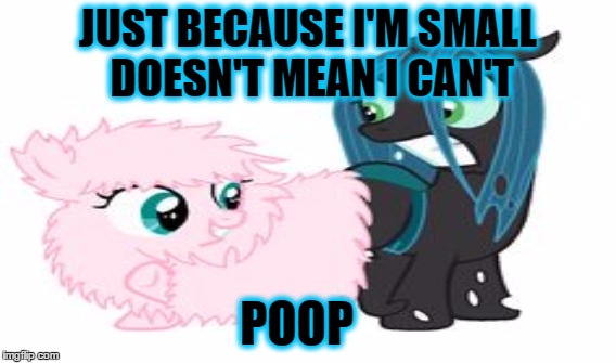 Doesn't mean- Lckitty | JUST BECAUSE I'M SMALL DOESN'T MEAN I CAN'T; POOP | image tagged in mlp | made w/ Imgflip meme maker