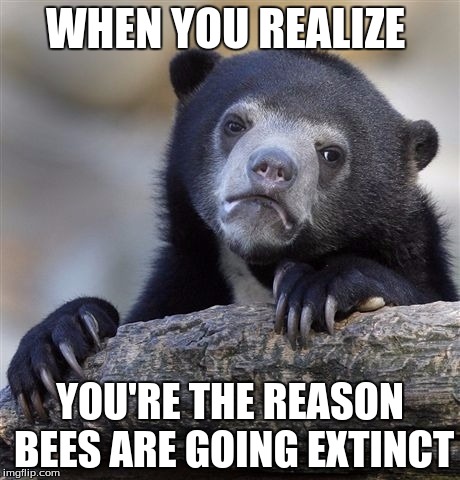 Confession Bear | WHEN YOU REALIZE; YOU'RE THE REASON BEES ARE GOING EXTINCT | image tagged in memes,confession bear | made w/ Imgflip meme maker