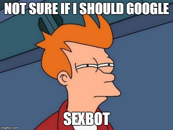 Futurama Fry Meme | NOT SURE IF I SHOULD GOOGLE SEXBOT | image tagged in memes,futurama fry | made w/ Imgflip meme maker