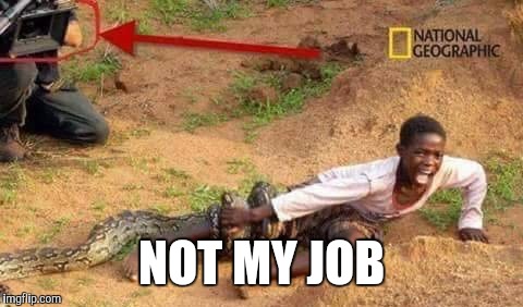 Perfect example of...... | NOT MY JOB | image tagged in memes,national geographic | made w/ Imgflip meme maker