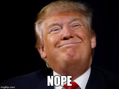 Smug Trump | NOPE | image tagged in smug trump | made w/ Imgflip meme maker