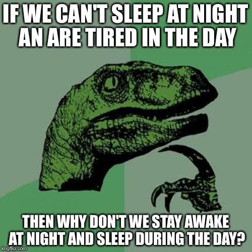 Philosoraptor Meme |  IF WE CAN'T SLEEP AT NIGHT AN ARE TIRED IN THE DAY; THEN WHY DON'T WE STAY AWAKE AT NIGHT AND SLEEP DURING THE DAY? | image tagged in memes,philosoraptor | made w/ Imgflip meme maker