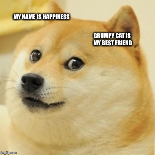 Doge Meme | MY NAME IS HAPPINESS; GRUMPY CAT IS MY BEST FRIEND | image tagged in memes,doge | made w/ Imgflip meme maker