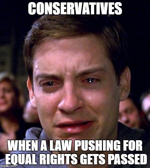 crying peter parker | CONSERVATIVES; WHEN A LAW PUSHING FOR EQUAL RIGHTS GETS PASSED | image tagged in crying peter parker | made w/ Imgflip meme maker