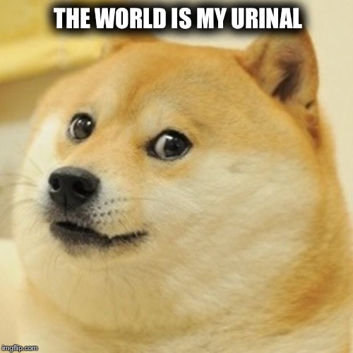 Doge Meme | THE WORLD IS MY URINAL | image tagged in memes,doge | made w/ Imgflip meme maker