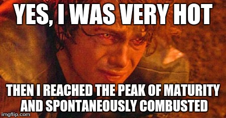 Anakin burning | YES, I WAS VERY HOT; THEN I REACHED THE PEAK OF MATURITY AND SPONTANEOUSLY COMBUSTED | image tagged in anakin burning | made w/ Imgflip meme maker