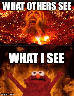 How hell is veiwed | WHAT OTHERS SEE; WHAT I SEE | image tagged in brace yourselves x is coming | made w/ Imgflip meme maker