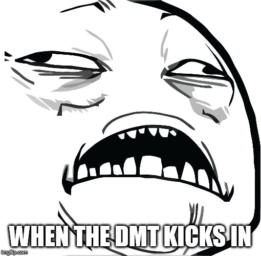 WHEN THE DMT KICKS IN | image tagged in when the dmt kicks in | made w/ Imgflip meme maker