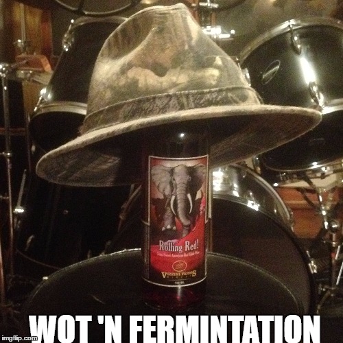 WOT 'N FERMINTATION | WOT 'N FERMINTATION | image tagged in red wine | made w/ Imgflip meme maker