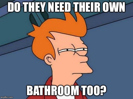 Futurama Fry Meme | DO THEY NEED THEIR OWN BATHROOM TOO? | image tagged in memes,futurama fry | made w/ Imgflip meme maker