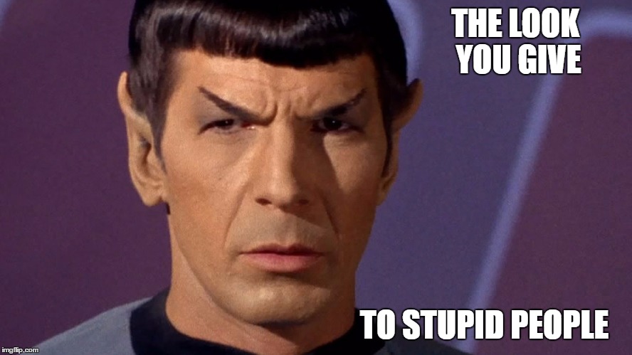 THE LOOK YOU GIVE; TO STUPID PEOPLE | image tagged in spock | made w/ Imgflip meme maker