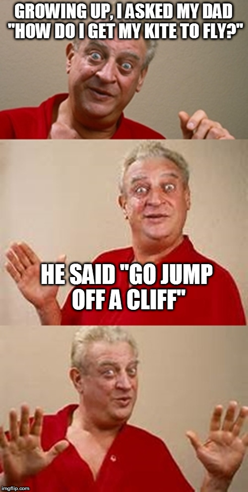 No respect at all! | GROWING UP, I ASKED MY DAD "HOW DO I GET MY KITE TO FLY?"; HE SAID "GO JUMP OFF A CLIFF" | image tagged in bad pun dangerfield,no respect,rodney dangerfield | made w/ Imgflip meme maker