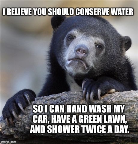 Conserve water | I BELIEVE YOU SHOULD CONSERVE WATER; SO I CAN HAND WASH MY CAR, HAVE A GREEN LAWN, AND SHOWER TWICE A DAY. | image tagged in memes,confession bear | made w/ Imgflip meme maker