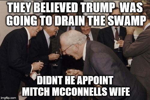 Laughing Men In Suits Meme | THEY BELIEVED TRUMP  WAS GOING TO DRAIN THE SWAMP; DIDNT HE APPOINT MITCH MCCONNELLS WIFE | image tagged in memes,laughing men in suits | made w/ Imgflip meme maker