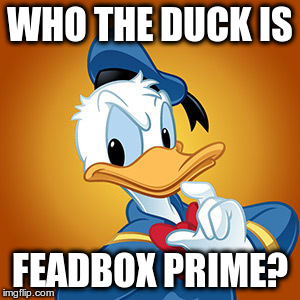 Who the Duck | WHO THE DUCK IS; FEADBOX PRIME? | image tagged in angry duck | made w/ Imgflip meme maker