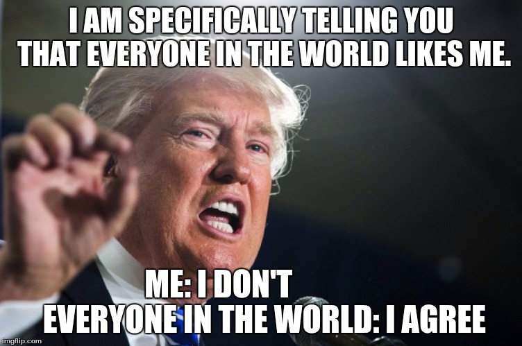 donald trump | I AM SPECIFICALLY TELLING YOU THAT EVERYONE IN THE WORLD LIKES ME. ME: I DON'T
            
 EVERYONE IN THE WORLD: I AGREE | image tagged in donald trump | made w/ Imgflip meme maker