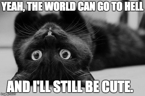 Cute black cat | YEAH, THE WORLD CAN GO TO HELL; AND I'LL STILL BE CUTE. | image tagged in cute black cat | made w/ Imgflip meme maker