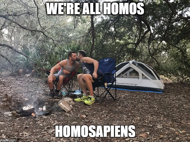 WE'RE ALL HOMOS; HOMOSAPIENS | image tagged in gay | made w/ Imgflip meme maker