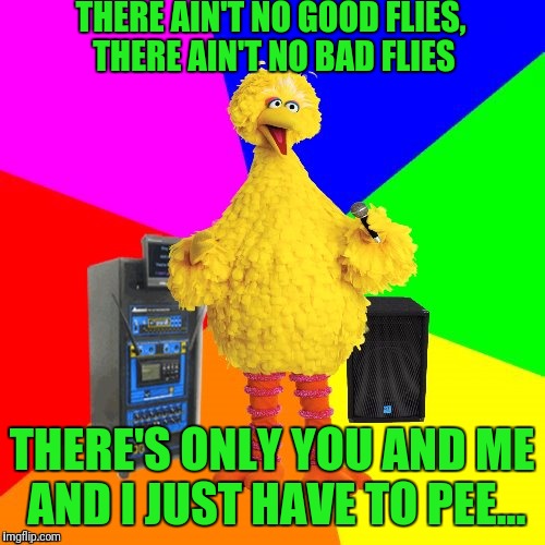 Wrong lyrics karaoke big bird | THERE AIN'T NO GOOD FLIES, THERE AIN'T NO BAD FLIES; THERE'S ONLY YOU AND ME AND I JUST HAVE TO PEE... | image tagged in wrong lyrics karaoke big bird | made w/ Imgflip meme maker