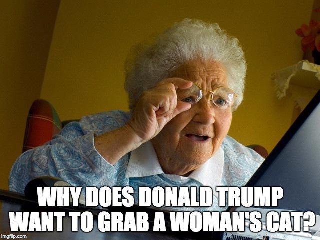 Grandma Finds The Internet Meme | WHY DOES DONALD TRUMP WANT TO GRAB A WOMAN'S CAT? | image tagged in memes,grandma finds the internet | made w/ Imgflip meme maker