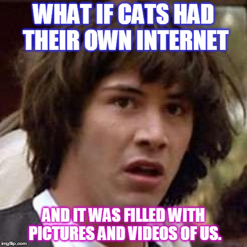 Conspiracy Keanu | WHAT IF CATS HAD THEIR OWN INTERNET; AND IT WAS FILLED WITH PICTURES AND VIDEOS OF US. | image tagged in memes,conspiracy keanu | made w/ Imgflip meme maker