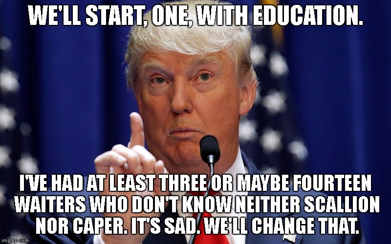Donald Trump | WE'LL START, ONE, WITH EDUCATION. I'VE HAD AT LEAST THREE OR MAYBE FOURTEEN WAITERS WHO DON'T KNOW NEITHER SCALLION NOR CAPER. IT'S SAD. WE'LL CHANGE THAT. | image tagged in donald trump | made w/ Imgflip meme maker