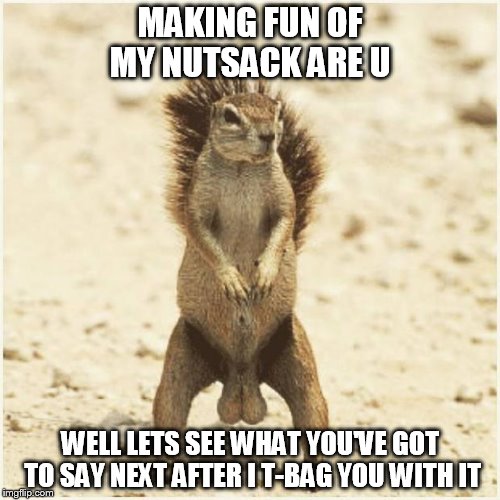Squirrel nutsack | MAKING FUN OF MY NUTSACK ARE U; WELL LETS SEE WHAT YOU'VE GOT TO SAY NEXT AFTER I T-BAG YOU WITH IT | image tagged in deez nuts | made w/ Imgflip meme maker