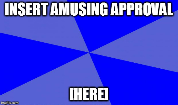 INSERT AMUSING APPROVAL [HERE] | made w/ Imgflip meme maker