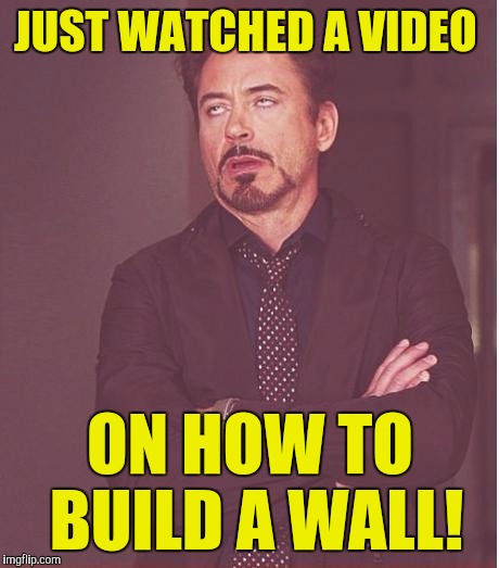 Face You Make Robert Downey Jr Meme | JUST WATCHED A VIDEO; ON HOW TO BUILD A WALL! | image tagged in memes,face you make robert downey jr | made w/ Imgflip meme maker