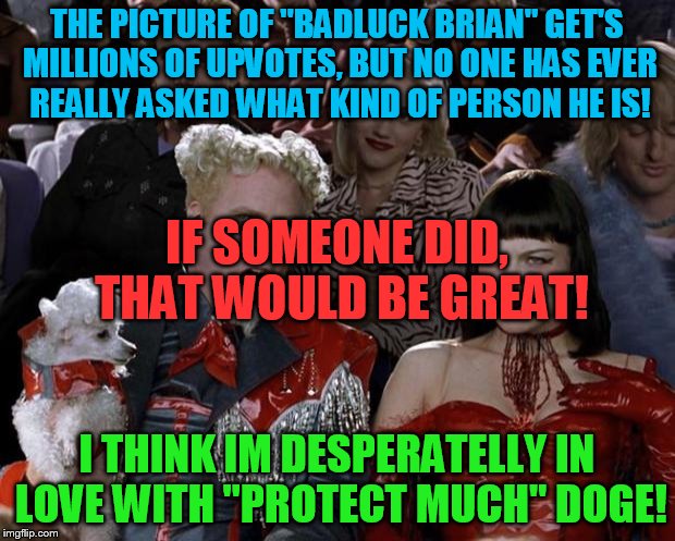 Three memes version 1 | THE PICTURE OF "BADLUCK BRIAN" GET'S MILLIONS OF UPVOTES, BUT NO ONE HAS EVER REALLY ASKED WHAT KIND OF PERSON HE IS! IF SOMEONE DID, THAT WOULD BE GREAT! I THINK IM DESPERATELLY IN LOVE WITH "PROTECT MUCH" DOGE! | image tagged in slippy,slappy,fluffyknob the iii | made w/ Imgflip meme maker