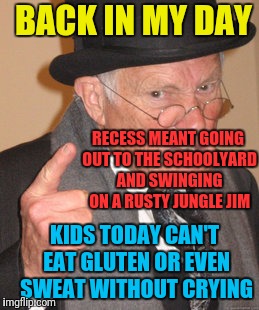 Back In My Day | BACK IN MY DAY; RECESS MEANT GOING OUT TO THE SCHOOLYARD AND SWINGING ON A RUSTY JUNGLE JIM; KIDS TODAY CAN'T EAT GLUTEN OR EVEN SWEAT WITHOUT CRYING | image tagged in memes,back in my day | made w/ Imgflip meme maker