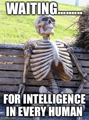 Waiting Skeleton Meme | WAITING......... FOR INTELLIGENCE IN EVERY HUMAN | image tagged in memes,waiting skeleton | made w/ Imgflip meme maker