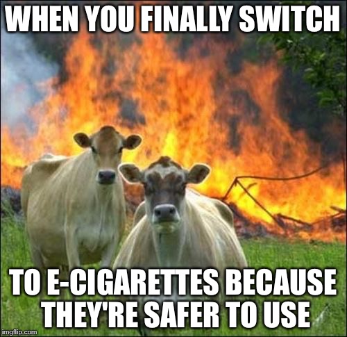 Evil Cows Meme | WHEN YOU FINALLY SWITCH; TO E-CIGARETTES BECAUSE THEY'RE SAFER TO USE | image tagged in memes,evil cows,vaping,vape nation,funny | made w/ Imgflip meme maker