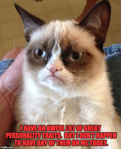 Grumpy Cat | I HAVE AN AWFUL LOT OF GREAT PERSONALITY TRAITS.  BUT I DON'T HAPPEN TO HAVE ANY OF THEM ON ME TODAY. | image tagged in memes,grumpy cat | made w/ Imgflip meme maker
