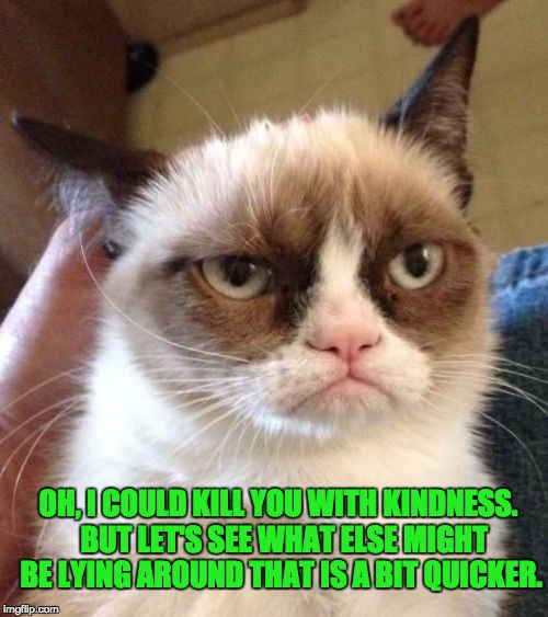 Grumpy Cat Reverse Meme | OH, I COULD KILL YOU WITH KINDNESS.  BUT LET'S SEE WHAT ELSE MIGHT BE LYING AROUND THAT IS A BIT QUICKER. | image tagged in memes,grumpy cat reverse,grumpy cat | made w/ Imgflip meme maker